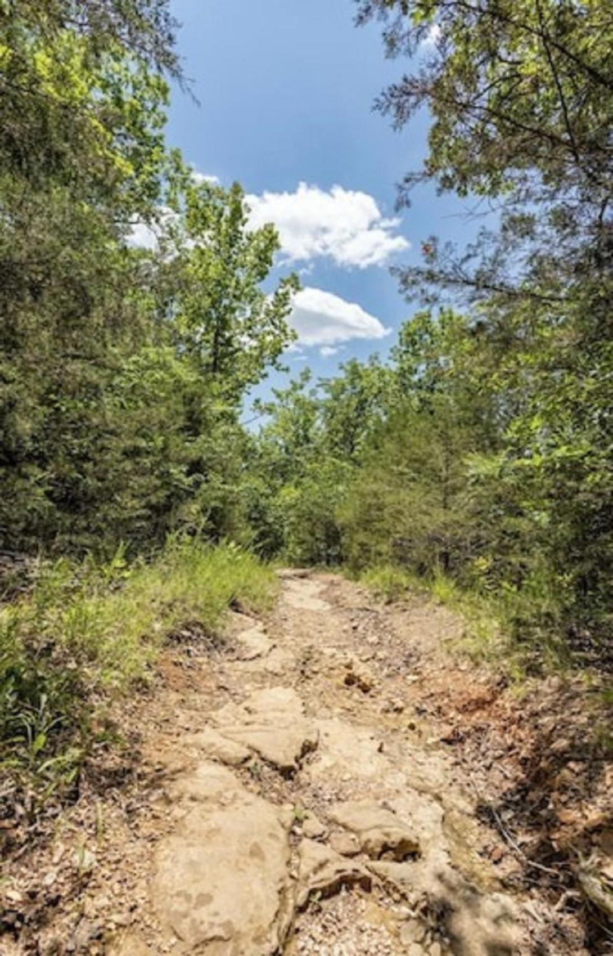 Beautiful Branson Getaway-Next To Silver Dollar City &Tablerock-Family Amenities Экстерьер фото